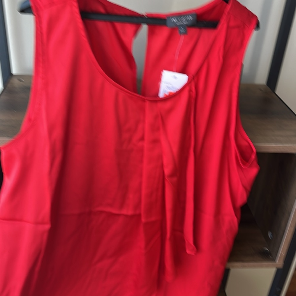 The limited - L- brand new with tags has a lovely overlay, pleaded in the front - Picture 3 of 5
